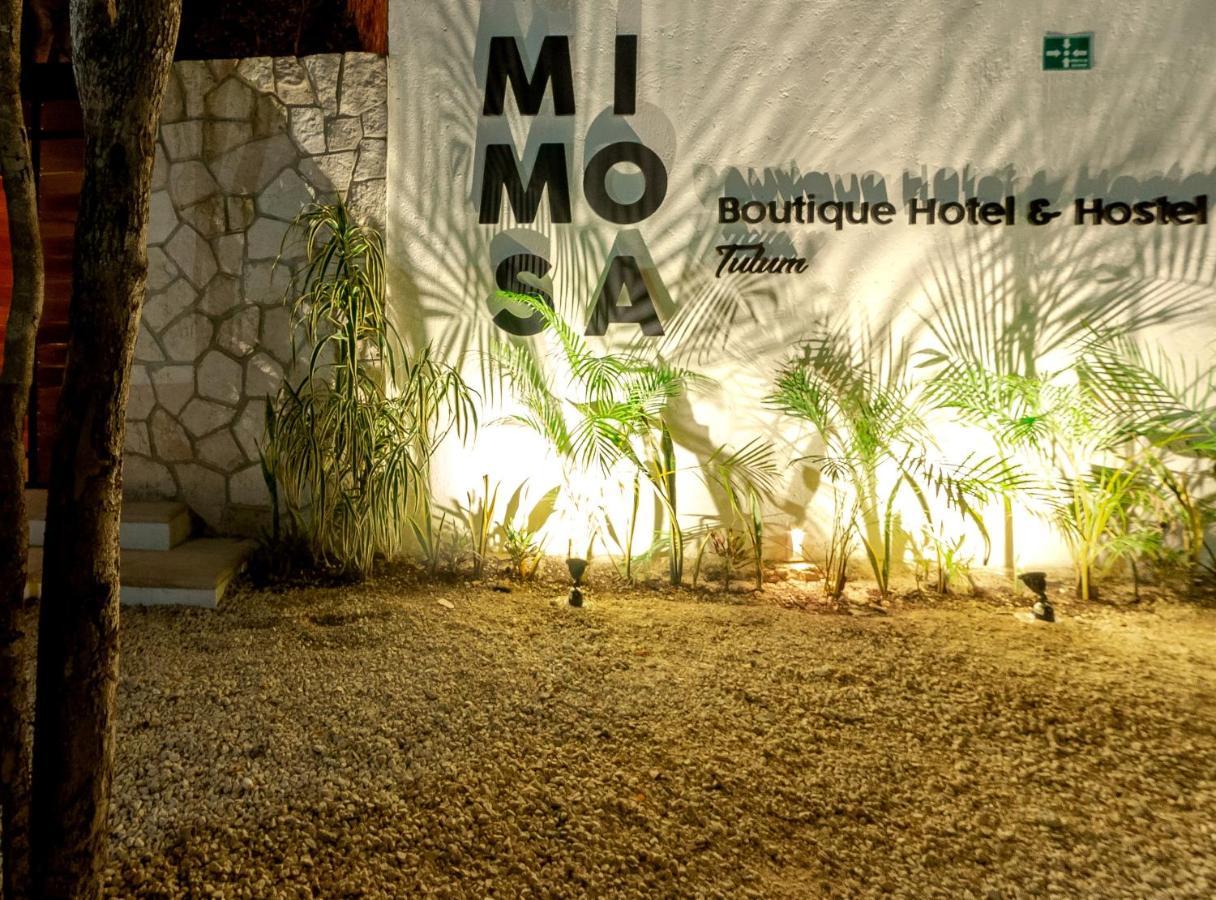 Mimosa Tulum Pansiyon Dış mekan fotoğraf